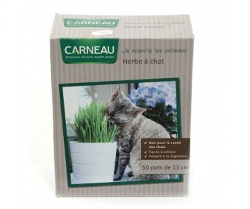 HERBE A CHAT 250G